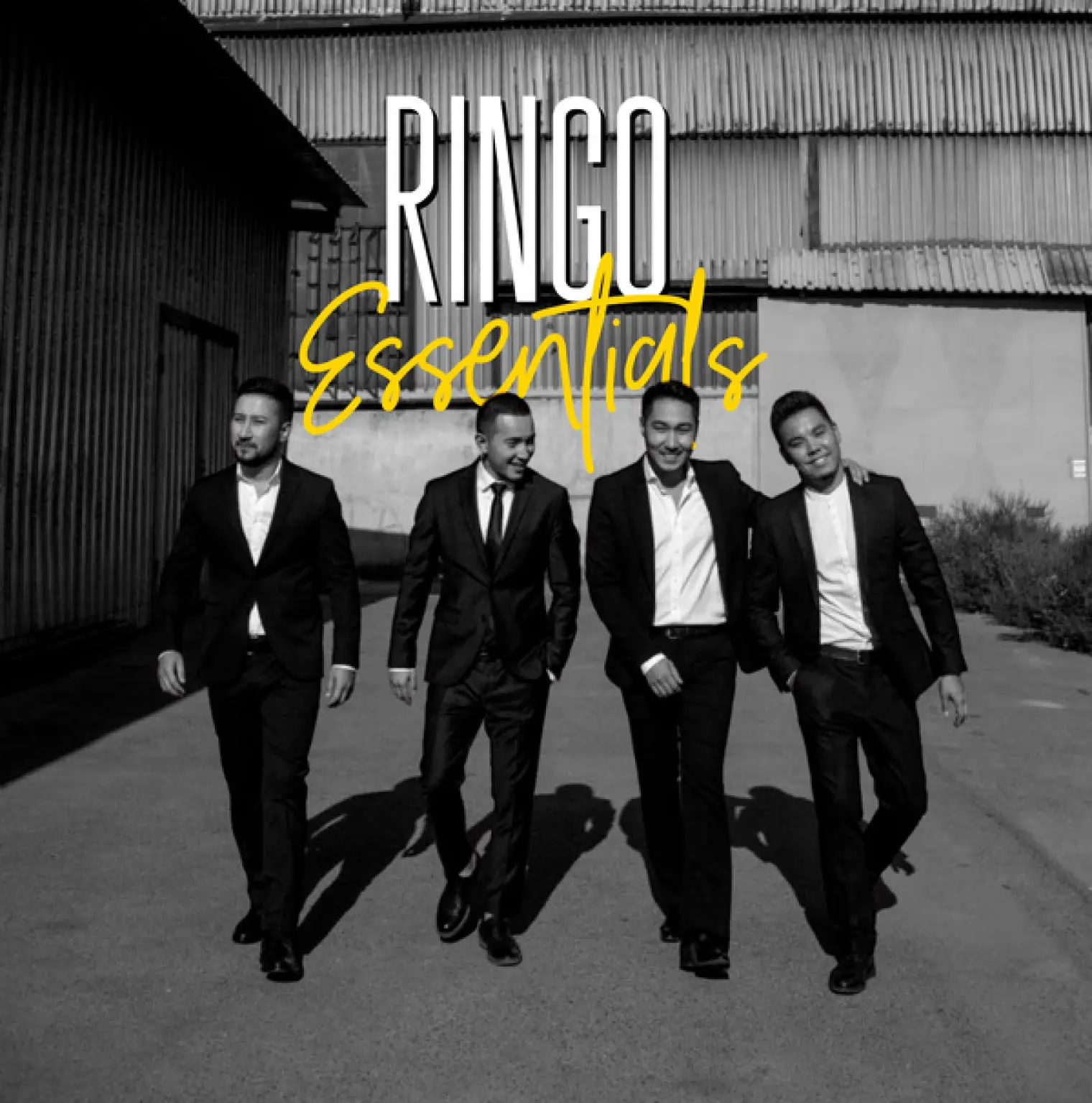 Essentials -  Ringo 