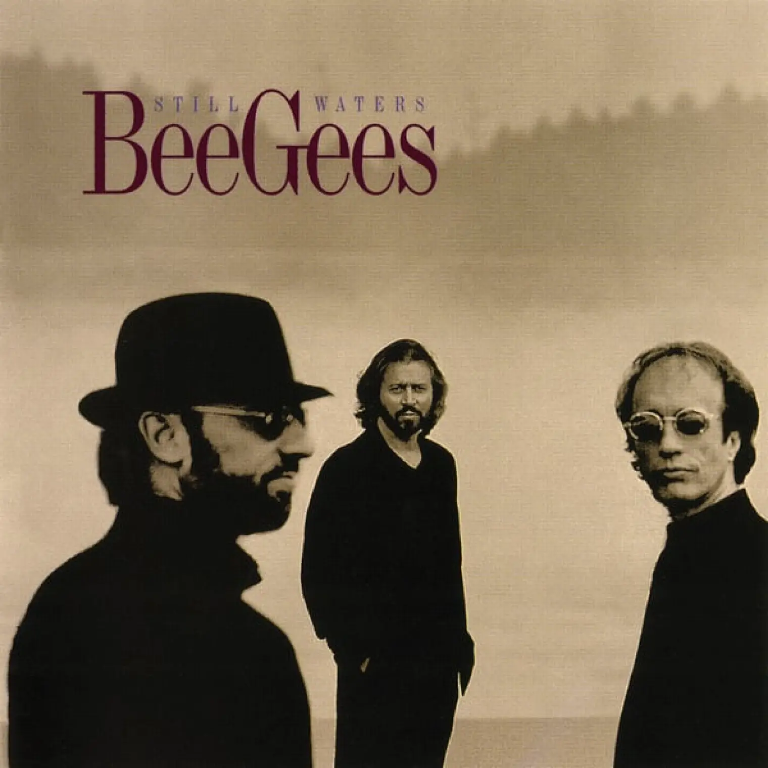 Still Waters -  Bee Gees 