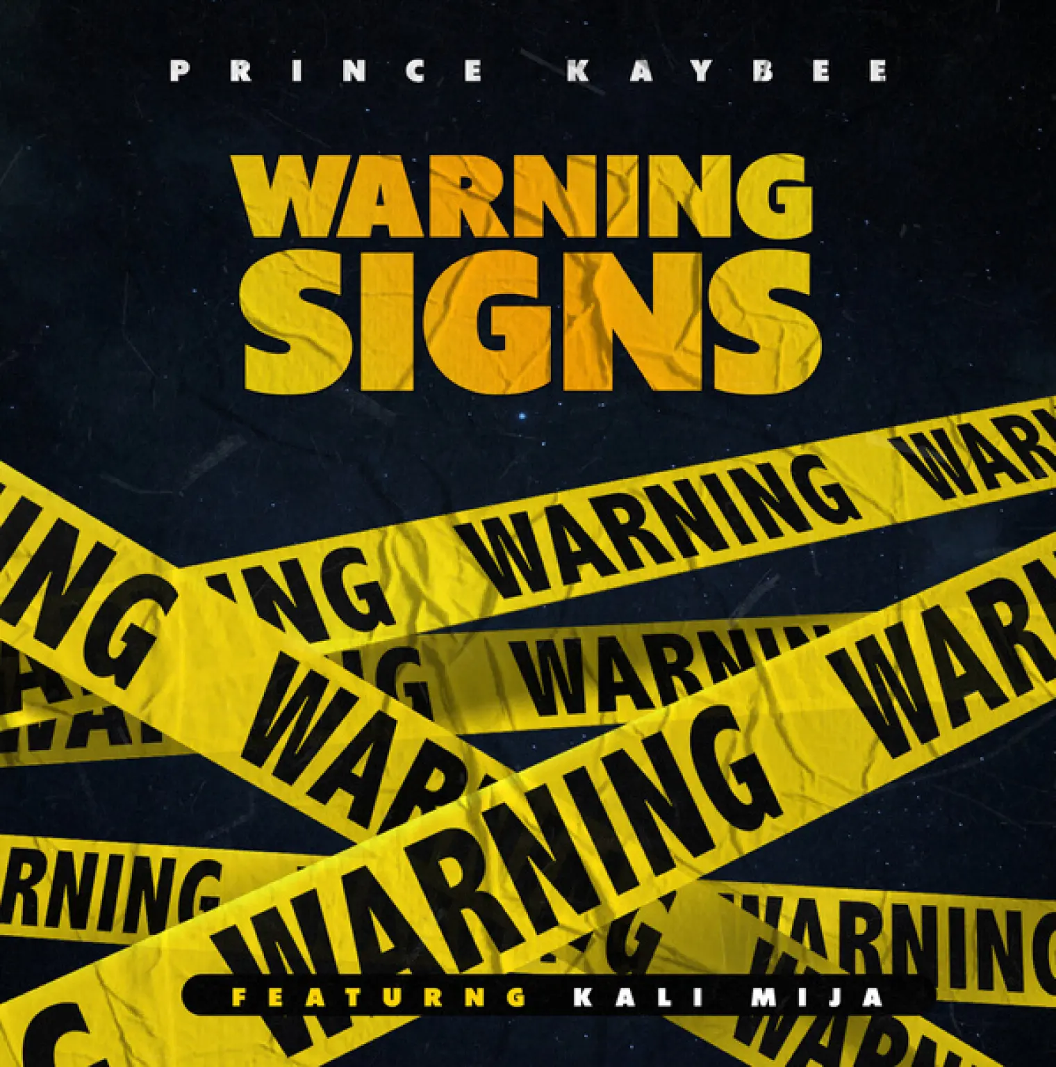 Warning Signs -  Prince Kaybee 