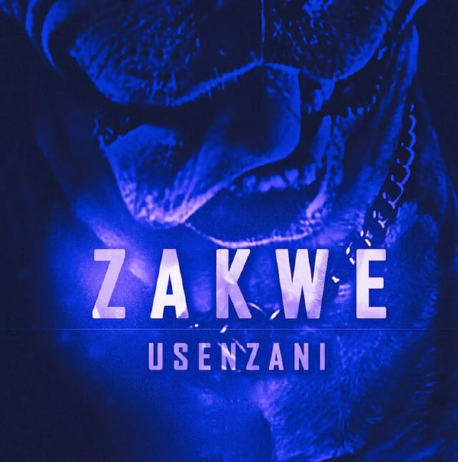 Usenzani -  Zakwe 
