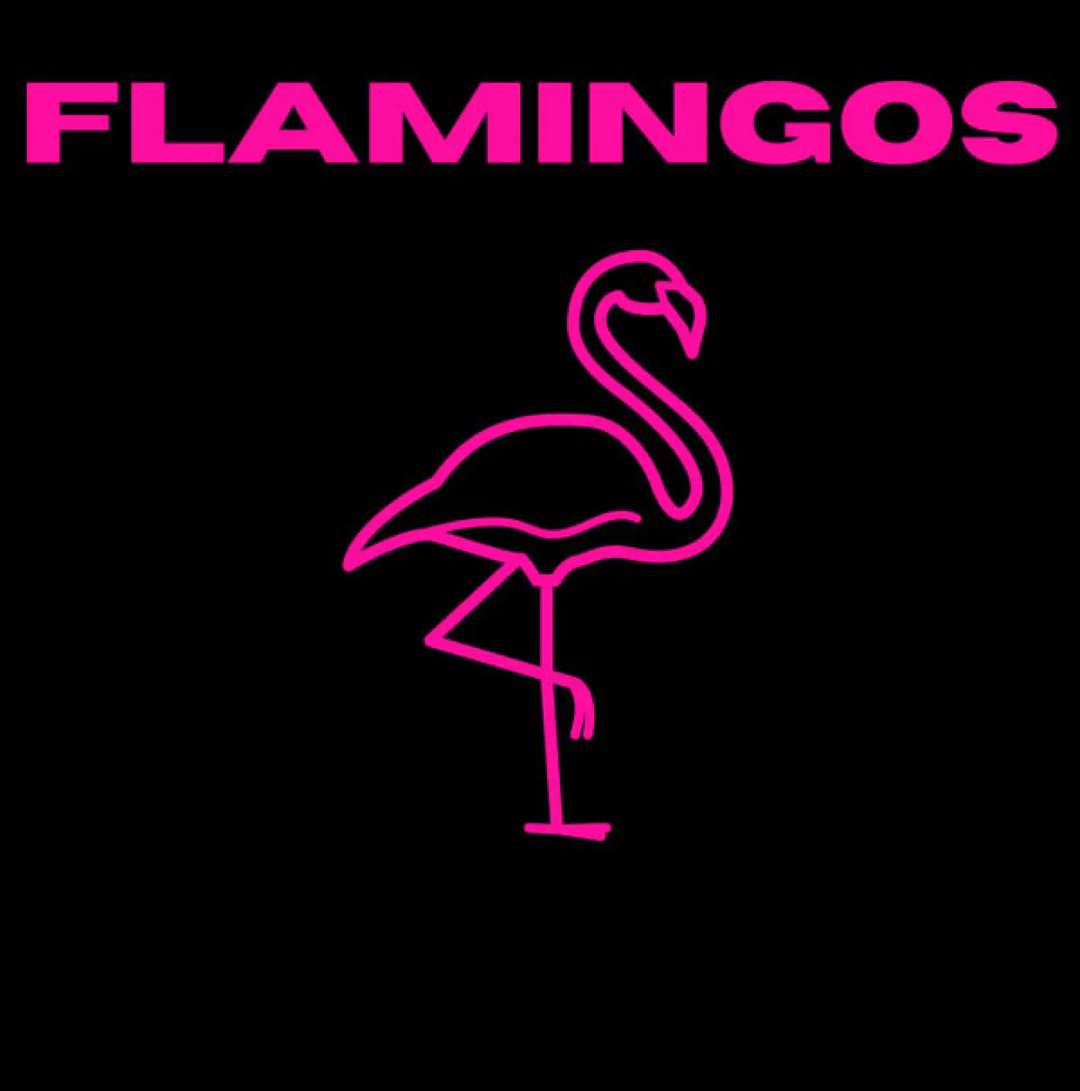 Turks & Caicos -  Flamingos 