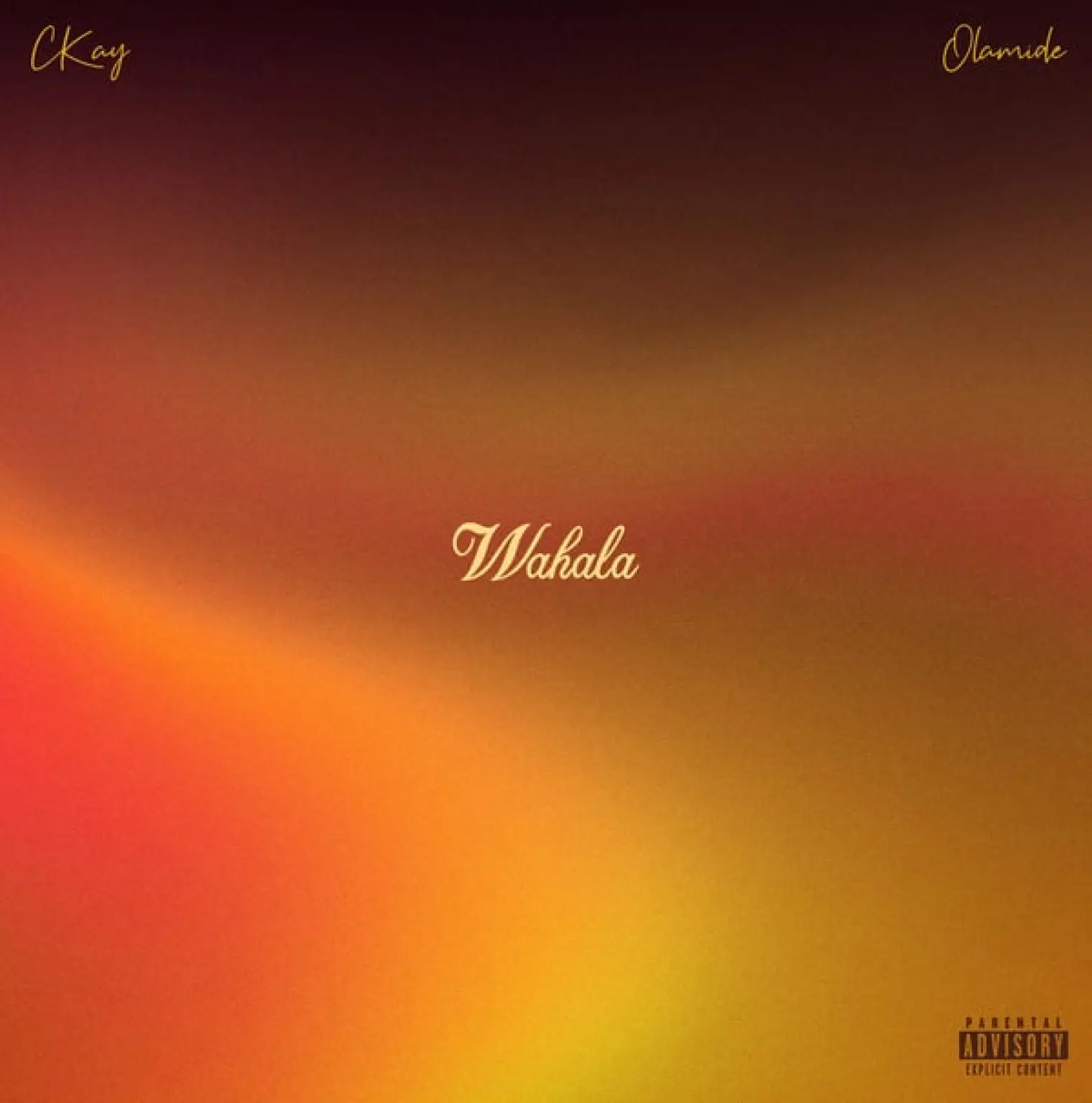 Wahala (feat. Olamide) -  CKay 