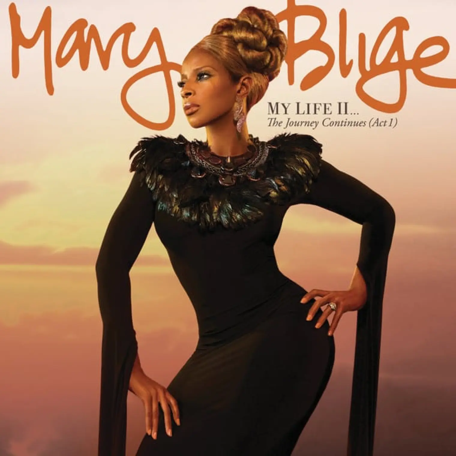 My Life II...The Journey Continues (Act 1) -  Mary J. Blige 