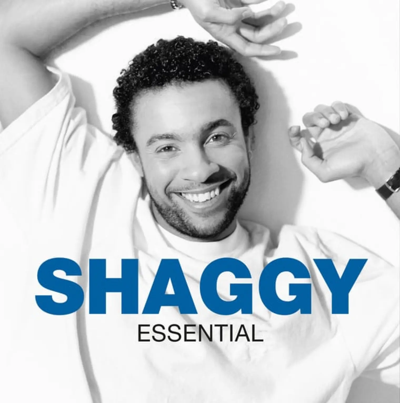 Essential -  Shaggy 