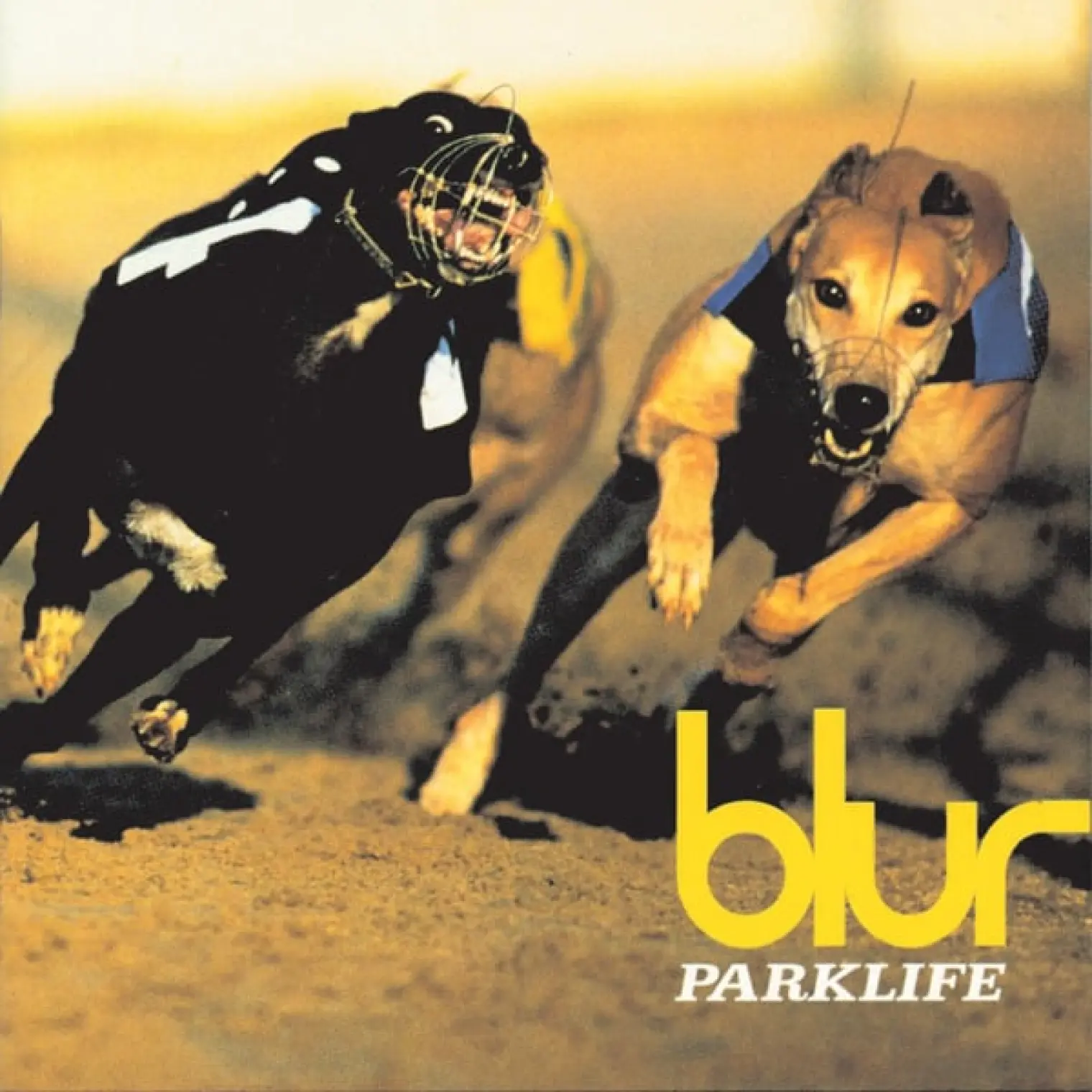 Parklife (Special Edition) -  Blur 