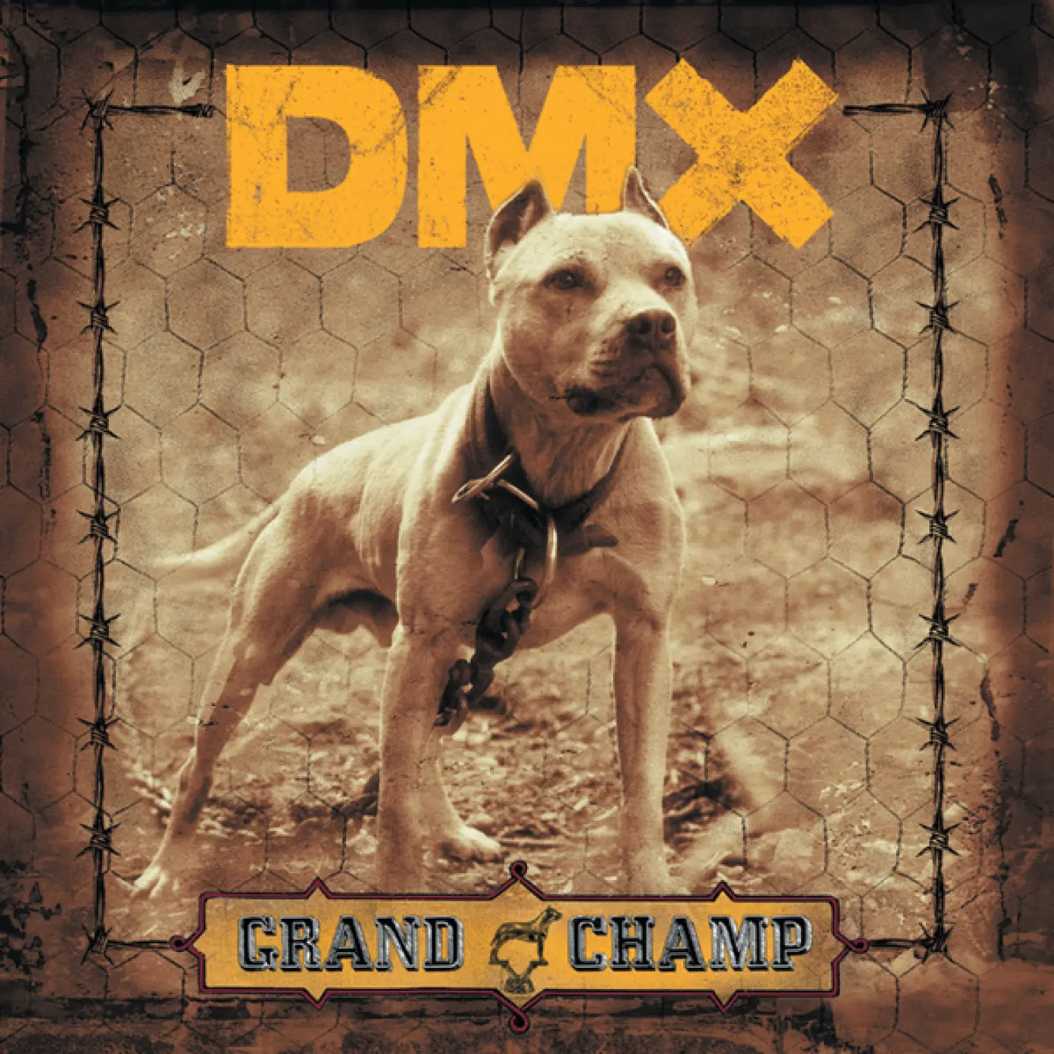 Grand Champ -  DMX 