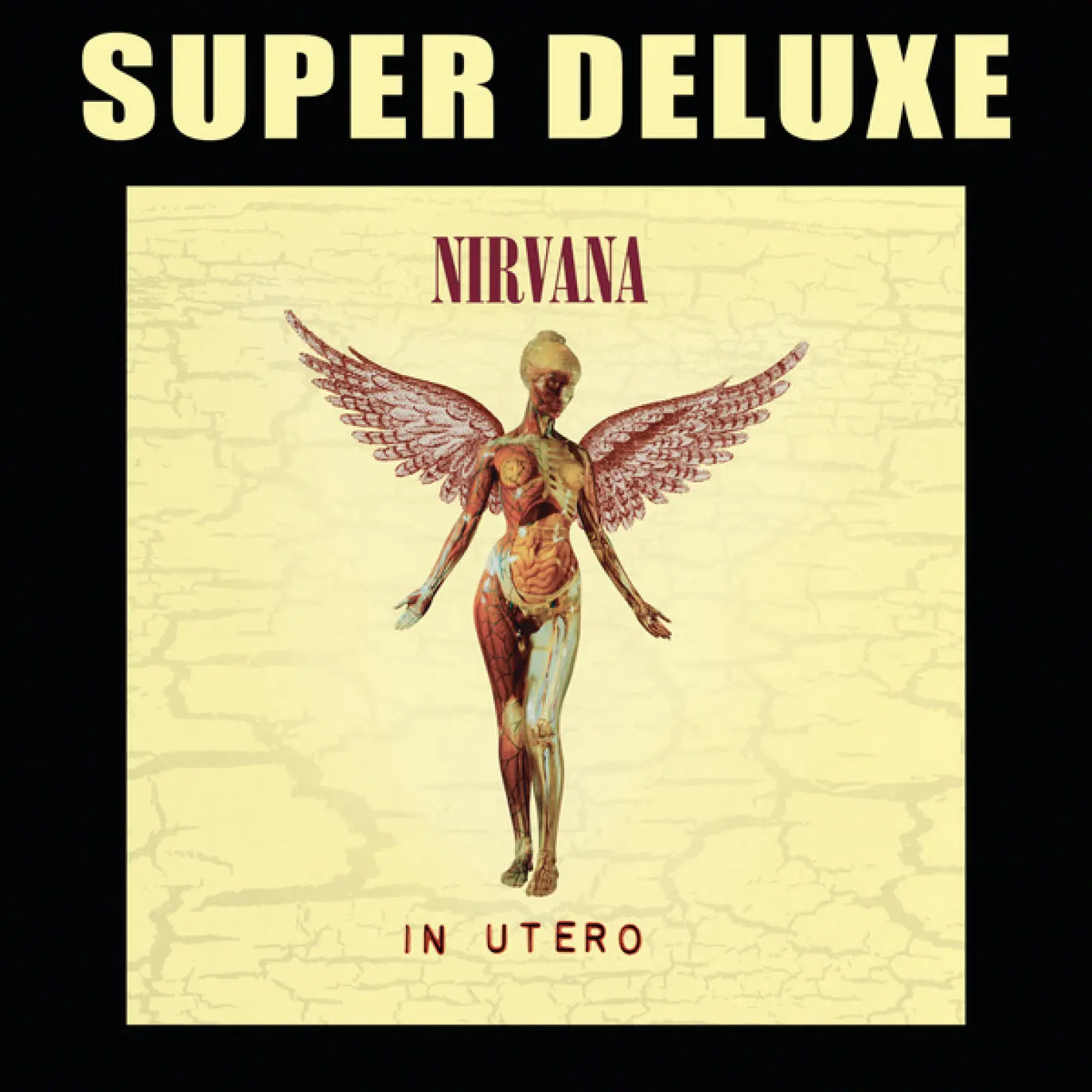 In Utero -  Nirvana 