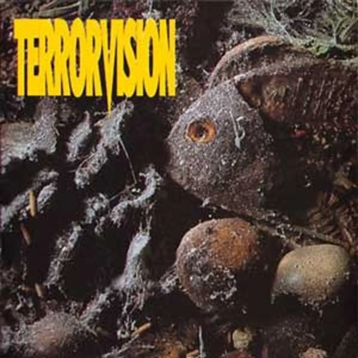 Formaldehyde -  Terrorvision 