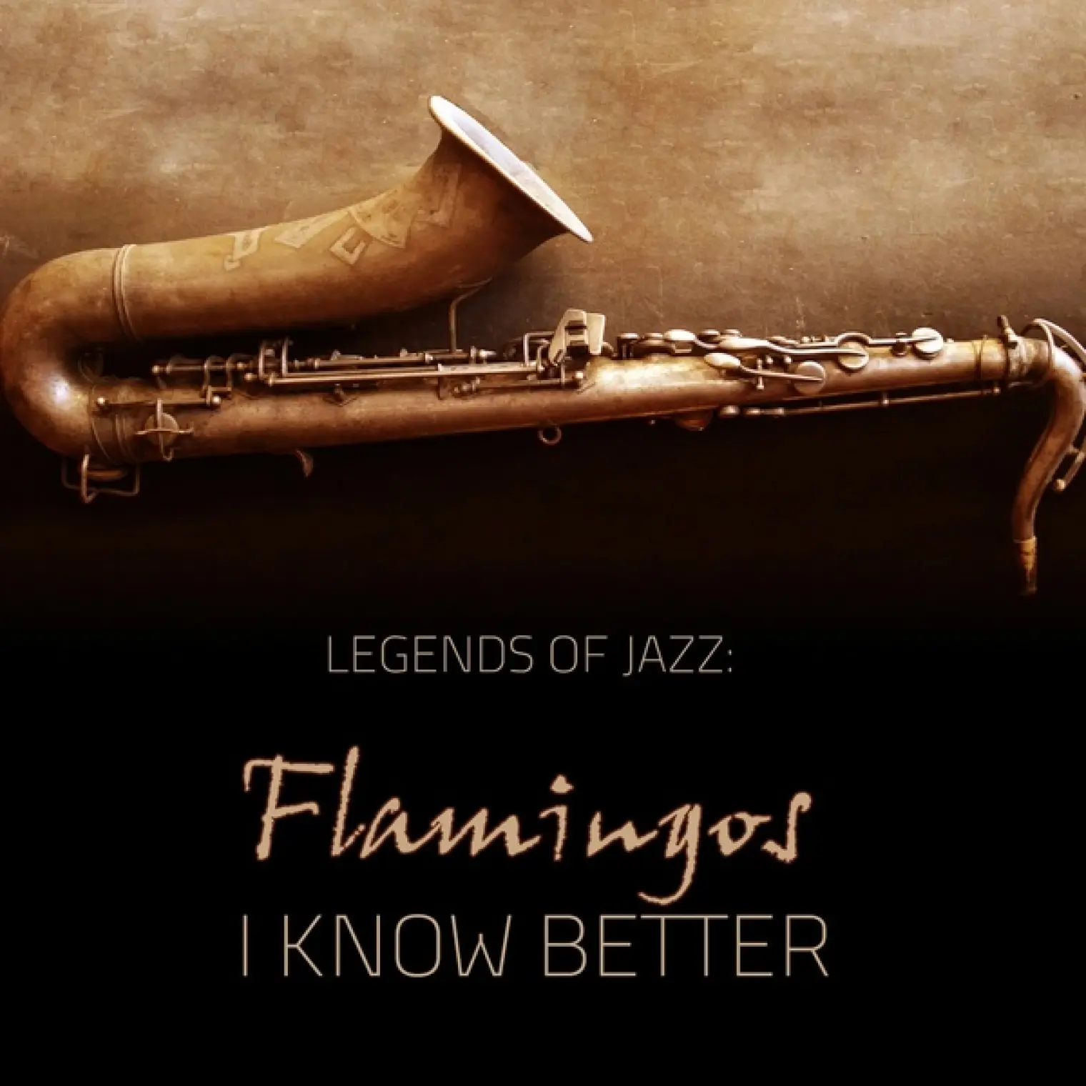 I Know Better -  Flamingos 