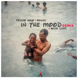 In The Mood Remix Single