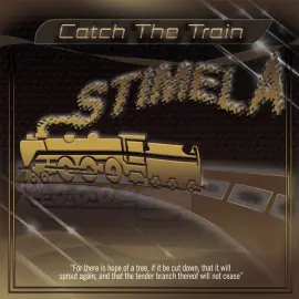 Catch The Train