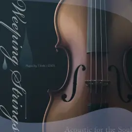 Weeping Strings～acoustic for the Soul (Weeping Violin Version)