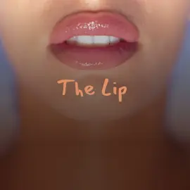 The Lip