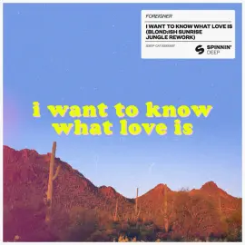 I Want To Know What Love Is (BLOND:ISH Sunrise Jungle Rework)