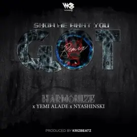 Show Me What You Got (feat. Yemi Alade, Nyashinski) (Remix)