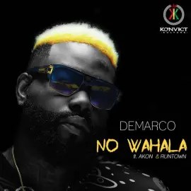 No Wahala (feat. Akon & Runtown)