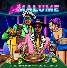 Saka Malume (feat. Tumelo_za, Sayfar) [Radio Edit]