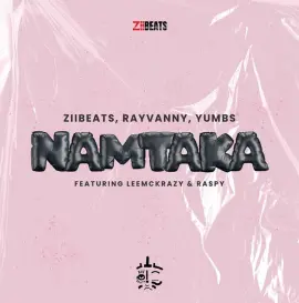 Namtaka (feat. LeeMcKrazy & Raspy)