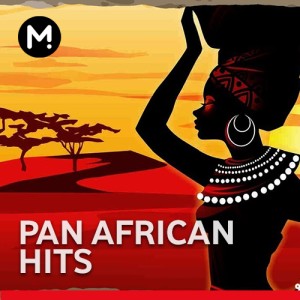 Pan African Hits -  