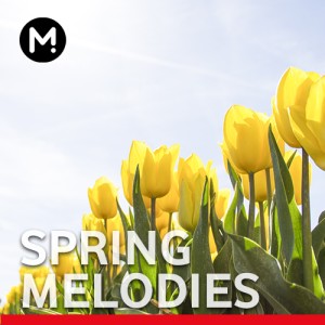 Spring Melodies -  
